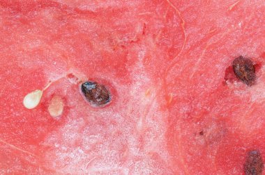 karpuz iç tarafında doku