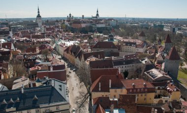 Tallinn, Estonya Ortaçağ tarihi kent bir bahar zamanında çatılar yukarıdan görünümünü