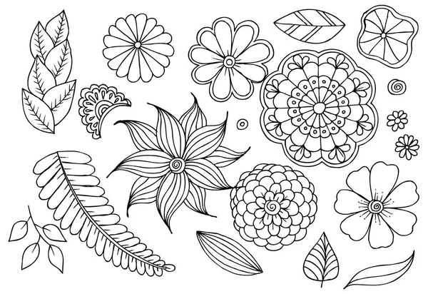 Set of doodle floral elements for design or coloring — Stock Vector