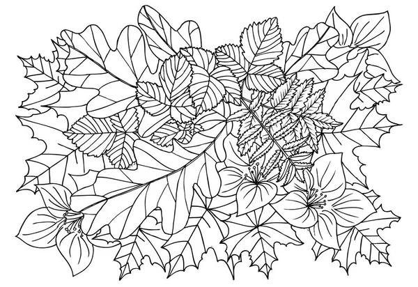 Herbstblätter in schwarz-weiß. Doodle-Kunst für Malbuch — Stockvektor