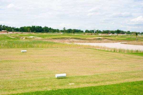 Grass on dry lawn — Stock Photo, Image