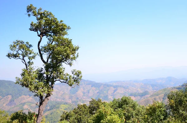 North Mounta in  Chiang Rai, Thailand — Stock Photo, Image