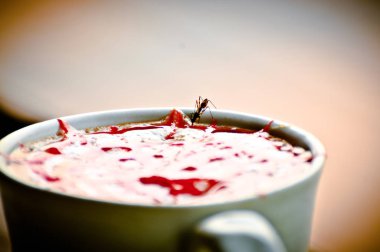  karınca şurubu ve bulanık arka plan ile bir bardak levrek