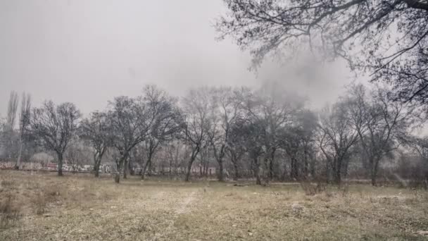 公园里下了雪 — 图库视频影像