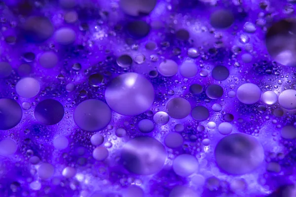 Purple Background — 스톡 사진