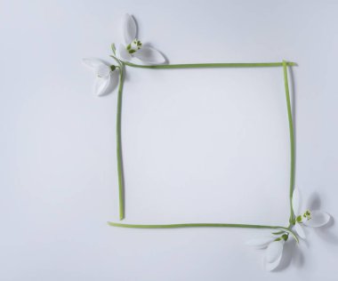 Bu, kardelen çerçeveli bir kartpostal..