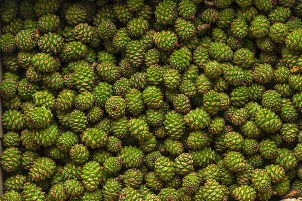 Bu çam kozalaklarının doğal bir arka planı..