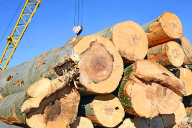 Hazırlık ve ahşap depo endüstriyel bir peyzaj.