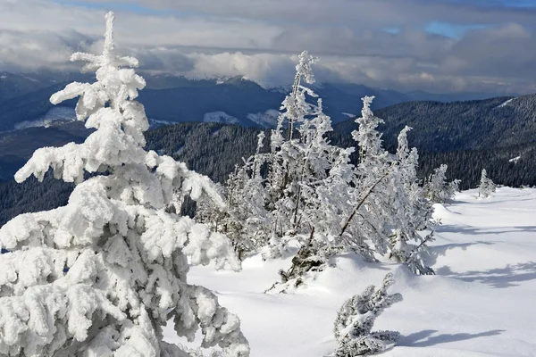Зима на схилі пагорба в гірському пейзажі . — стокове фото