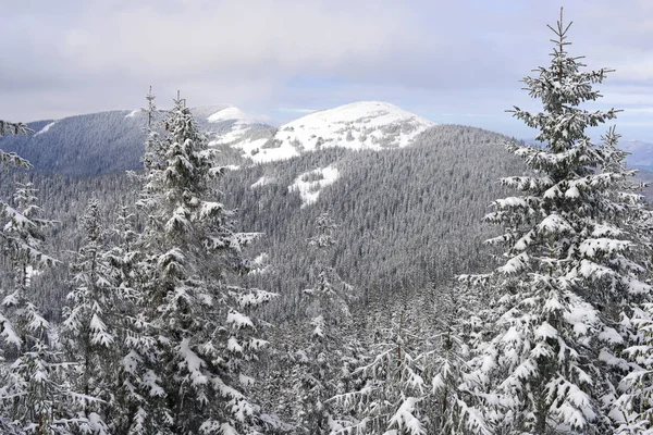 Winter on a hillside in a mountain landscape — Stock Photo, Image