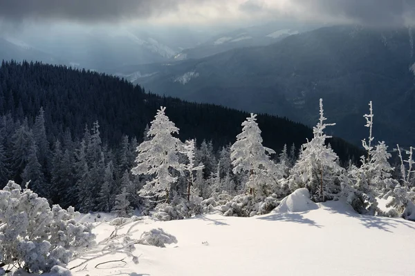 Winter am Hang in einer Berglandschaft — Stockfoto