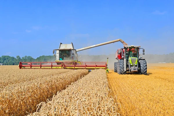 Overloading grain harvester into the grain tank of the tractor trailer — Stock Photo, Image