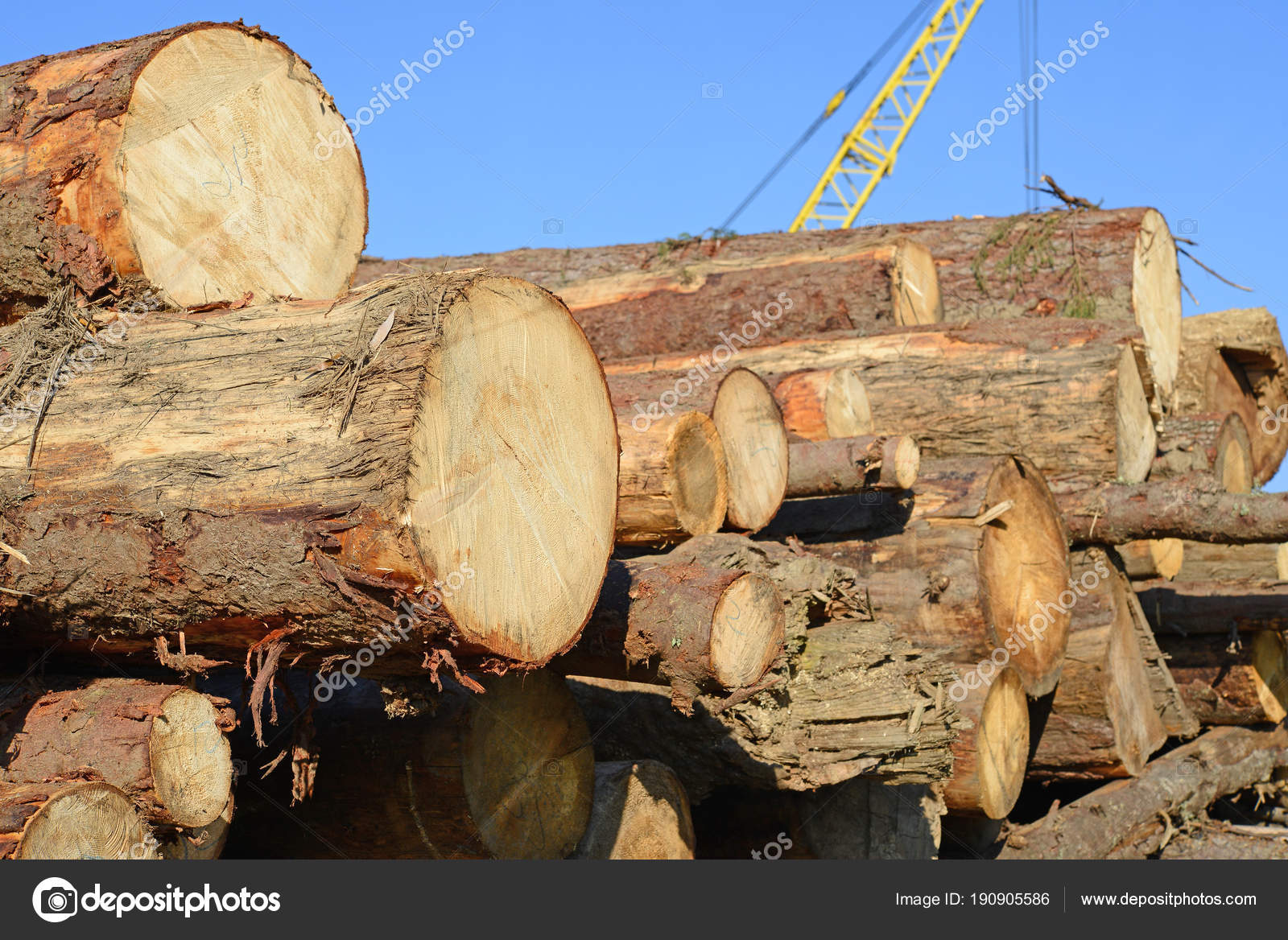 Una pila de troncos para leña y madera — Foto de stock © smereka #190905586