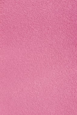 Duvarın bir parçası. Kaplanmış alçı.