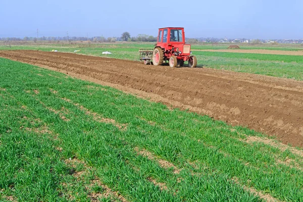 Agriculteur Sur Champ Poignées Tracteur — Photo