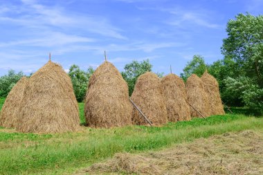 yığın yaz kırsal manzara içinde saman