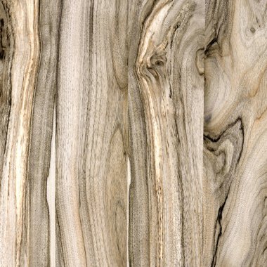 Ahşap panel ahşap bir parçası. Ceviz.