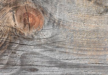 Geçen yüzyılın başında ekonomik inşaatın duvar parçası. Çam Keresteden panoları.