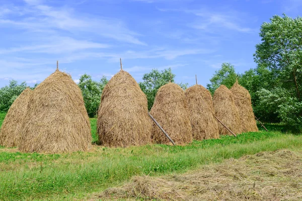 Heno Las Pilas Paisaje Veraniego Rural —  Fotos de Stock