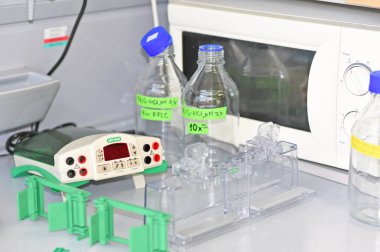 Prague, Çek Cumhuriyeti - 30 Nisan 2017: birçok şişe çözücüler ve hücre kültürü bir raf içinde - 30 Nisan 2017 Kimyasalları: Laboratuvar. Biyokimya ve organik Enstitüsü.