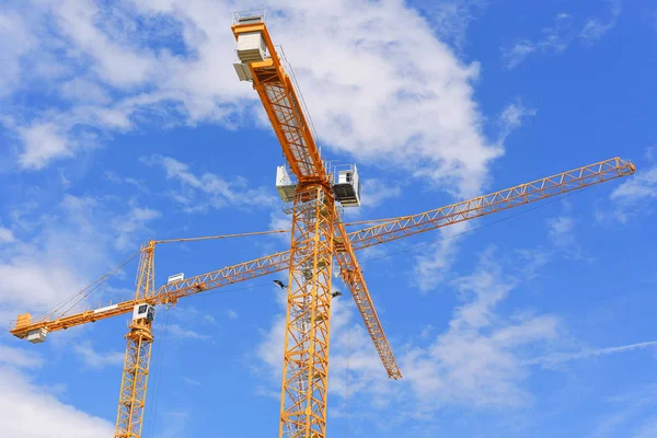 Grues Construction Tour Contre Ciel — Photo