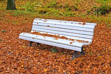 Küçük mimari formlar. Düşen sonbahar yaprakları arasında sokak bankı.