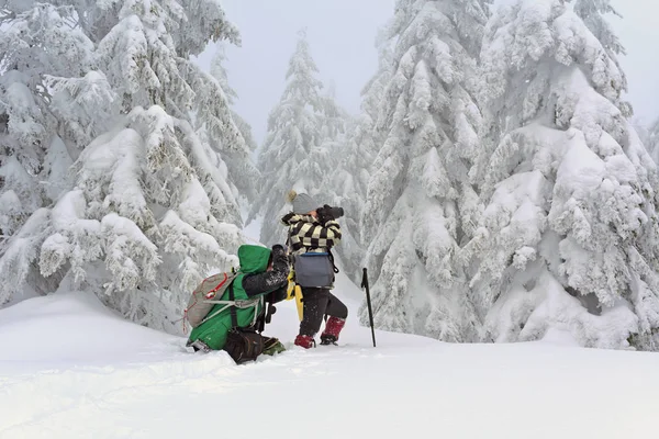 Hikers Backpacks Winter Mountains — Fotografia de Stock