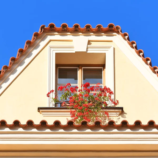 Window Ancient Building Old Prague 2019 — Stock Photo, Image