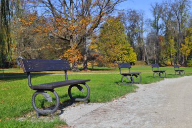 sonbahar park banklar ile 