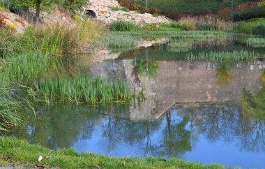 Nehir kıyısı manzarası 