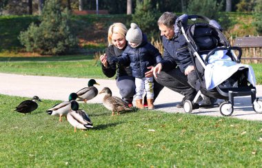 PRAG, CZECH Cumhuriyet - 30 Ekim 2019: Sonbahar parkında bebekle genç bir aile tatili.