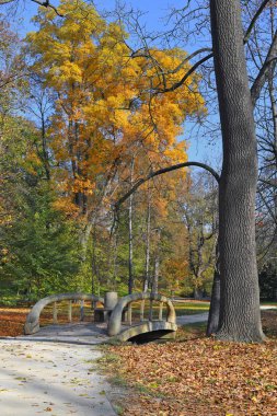 Köprüsü olan sonbahar parkı 