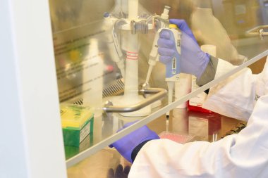 PRAGUE, CZECH REPUBLIC - 25 Mayıs 2019: laboratuvarda çalışan bilim adamı. Organik ve Biyokimya Enstitüsü.