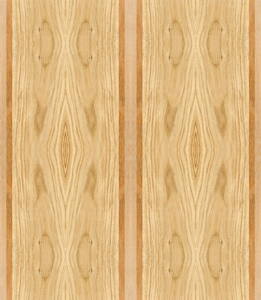 Fragmento Panel Madera Frondosas Roble —  Fotos de Stock