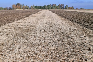 Sonbahar kırsal arazisi ekildikten sonra bir tarla ile.