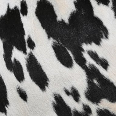 bir deri bir inek bir yakın çekim bir arka plan resmi.