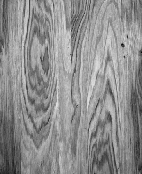 Fragment Drewniane Drewniany Panel Dąb — Zdjęcie stockowe