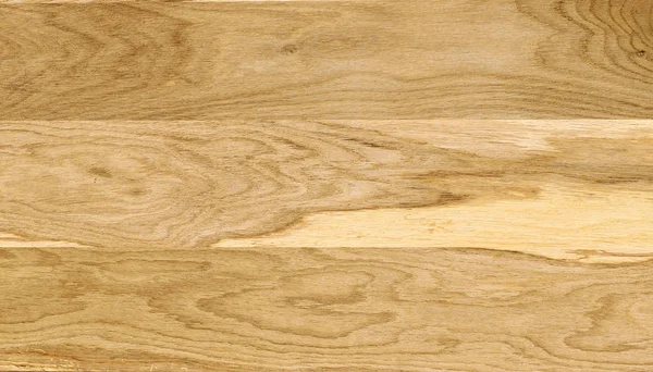 Ett Fragment Trä Panel Lövträd Oak — Stockfoto