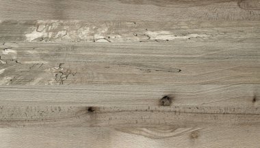 Tahta bir tahta parke parçası. Kayın.  