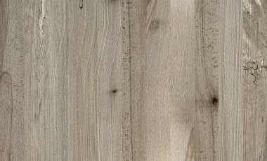 Ahşap panel ahşap bir parçası. Kül.