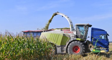 Kalush, Ukrayna - 25 Eylül 2019: Batı Ukrayna 'nın Kalush kasabası yakınlarındaki tarlada mısır tohumu hasat etme