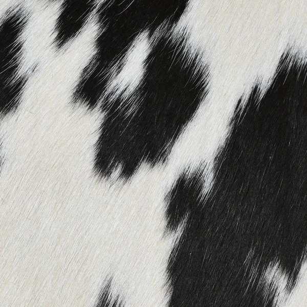 Fragment Skin Cow Close Background Photo — Stock Photo, Image