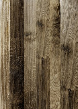 Parke zemin parçası. Meşe.