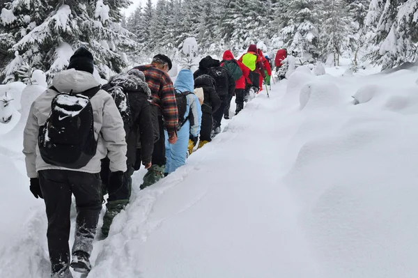 Ucrania Cárpatos Enero 2020 Turistas Ladera Montaña Montaña Gorgulat —  Fotos de Stock