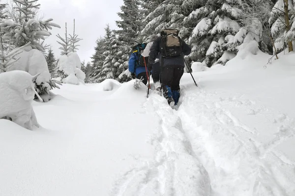 雪に覆われた山でのハイキングの人々 — ストック写真