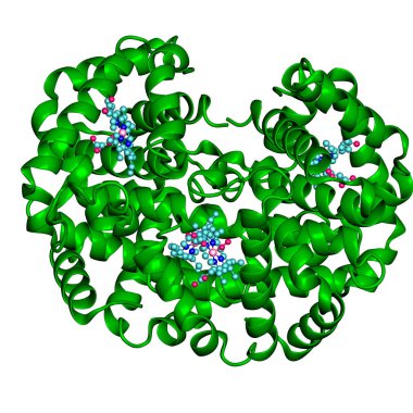 Hemoglobin yapısının üç boyutlu modeli. Arkaplan resmi