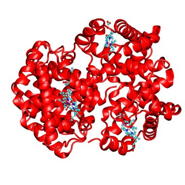 Three-dimensional model of hemoglobin structure.Background image clipart