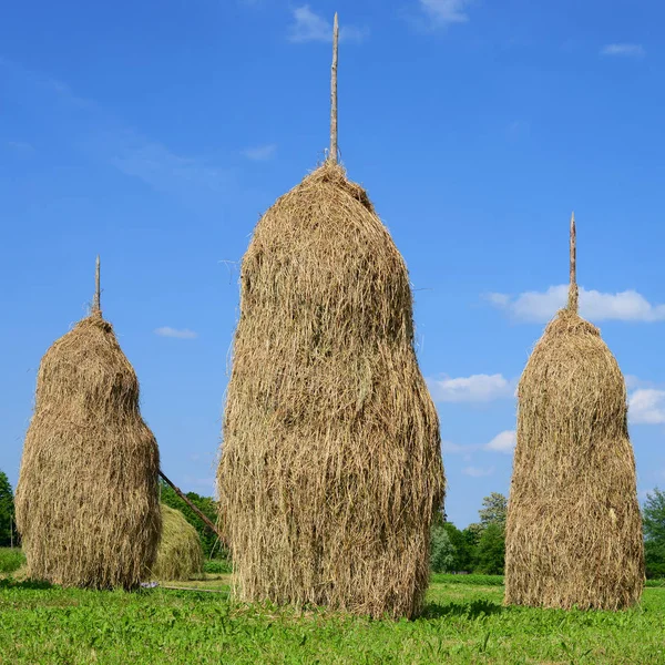 Balles Paille Sur Champ Été — Photo