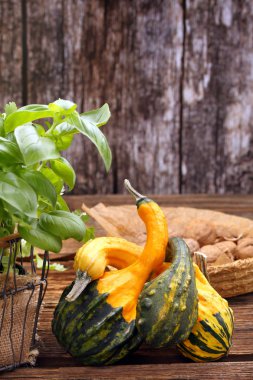 Ahşap masa ve t için alan taze otlar ile sonbahar kabaklar