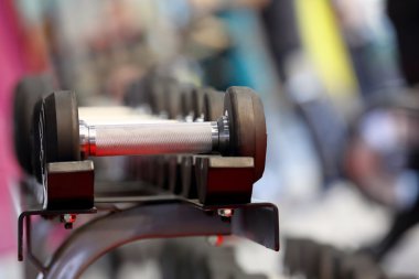 bir fitness stüdyosu dumbell ağırlık dizilmiş